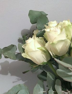 Image chosen by user
