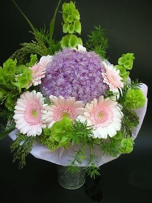 Image chosen by user