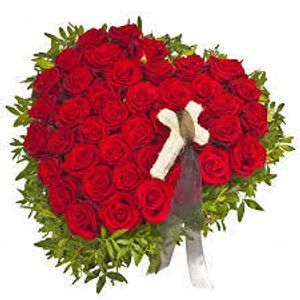 Image chosen by user