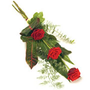 Image chosen by user