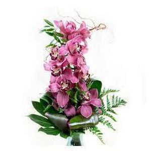 Image chosen by user