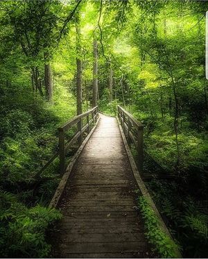 Image chosen by user