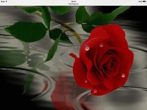 Image chosen by user