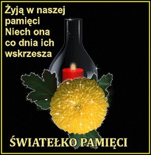 Obrazek wybrany przez użytkownika