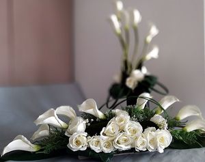Image chosen by user