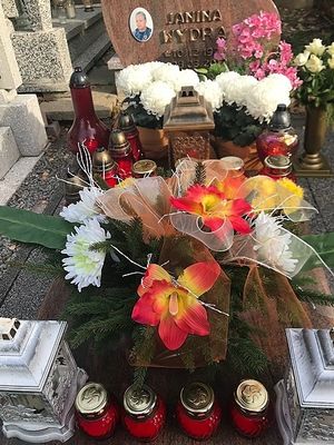 Obrazek wybrany przez użytkownika