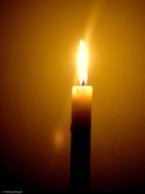 Obrazek wybrany przez użytkownika