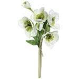 Image chosen by user