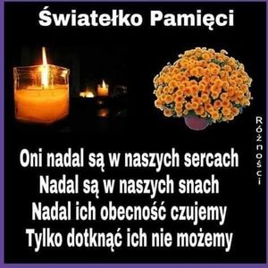 Obrazek wybrany przez użytkownika