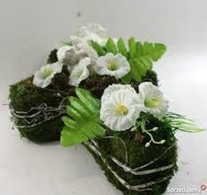 Image chosen by user