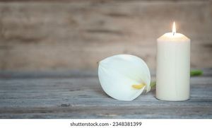 Image chosen by user