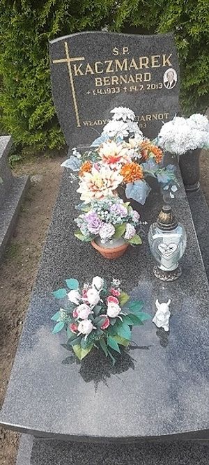 Obrazek wybrany przez użytkownika