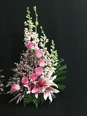 Image chosen by user
