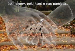 Image chosen by user