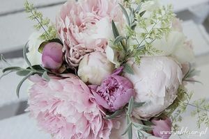 Image chosen by user