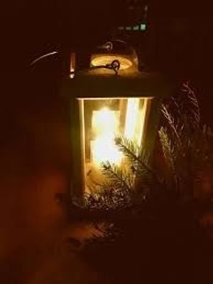 Image chosen by user
