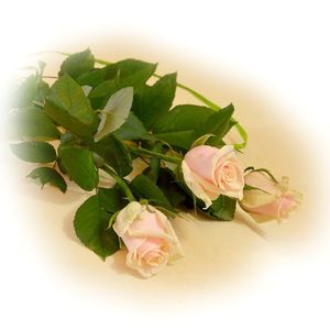 Image chosen by user