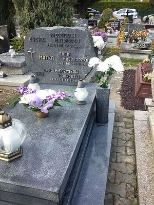 Obrazek wybrany przez użytkownika
