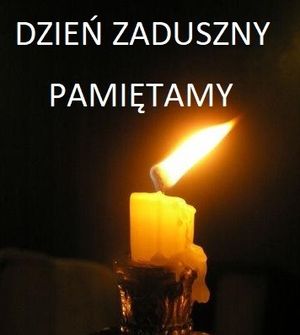 Obrazek wybrany przez użytkownika