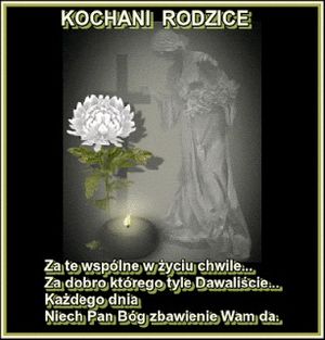 Image chosen by user