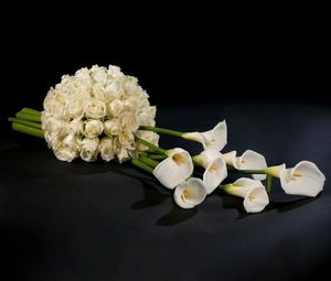 Image chosen by user