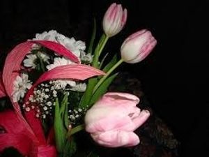 Image chosen by user