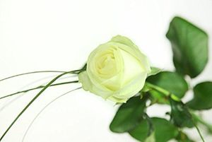 Image chosen by user