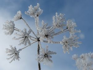 Obrazek wybrany przez użytkownika