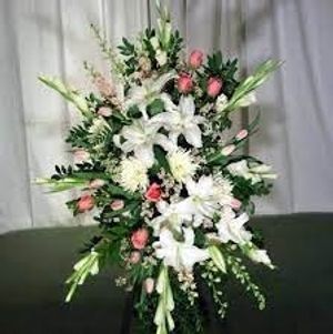 Image chosen by user