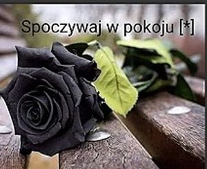 Image chosen by user