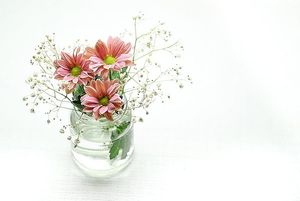 Image chosen by user