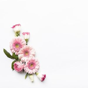 Image chosen by user