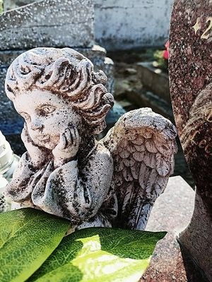 Image chosen by user