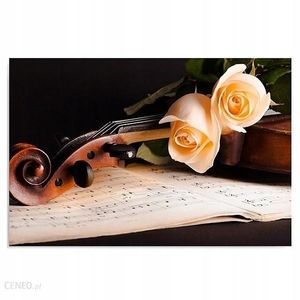 Image chosen by user