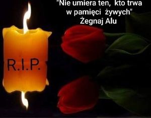 Obrazek wybrany przez użytkownika