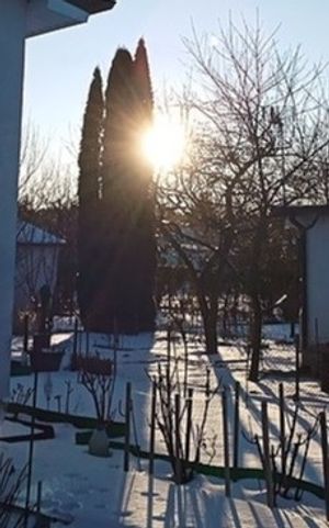 Obrazek wybrany przez użytkownika
