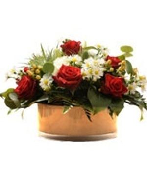 Image chosen by user