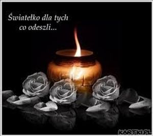 Obrazek wybrany przez użytkownika
