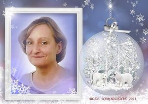 Image chosen by user