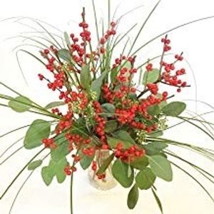 Image chosen by user