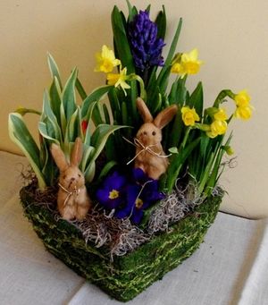 Image chosen by user
