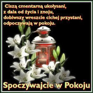 Image chosen by user
