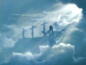Image chosen by user