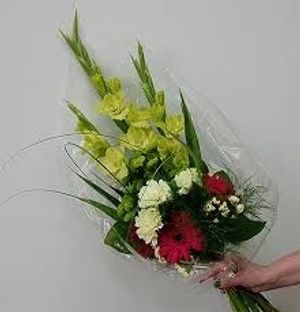 Image chosen by user