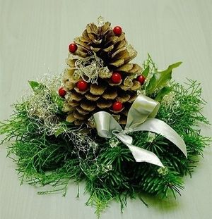 Image chosen by user