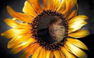 Image chosen by user