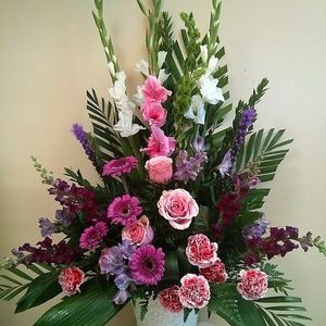 Image chosen by user
