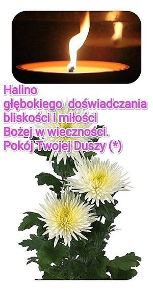 Obrazek wybrany przez użytkownika