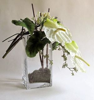 Image chosen by user
