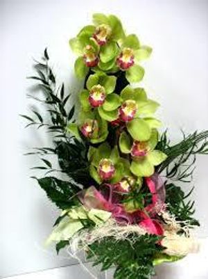 Image chosen by user